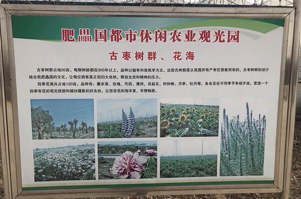 微信图片_20180310194139.jpg